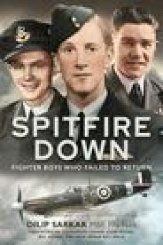 Livro Spitfire Down S