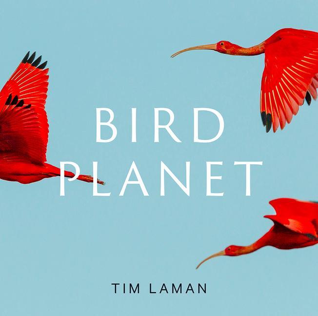 Книга Bird Planet 