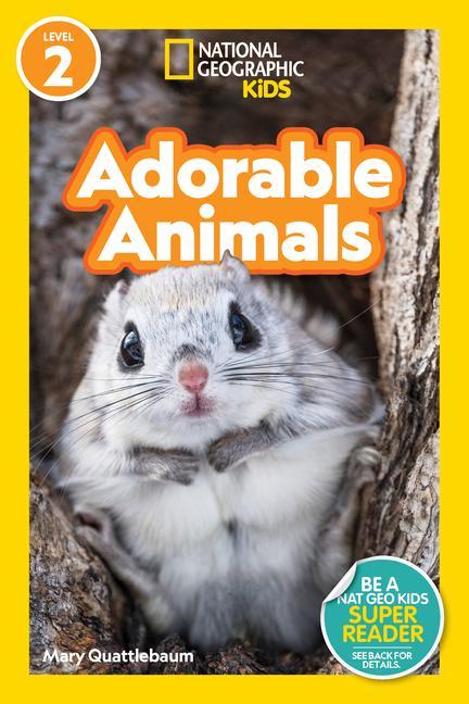 Buch Adorable Animals 