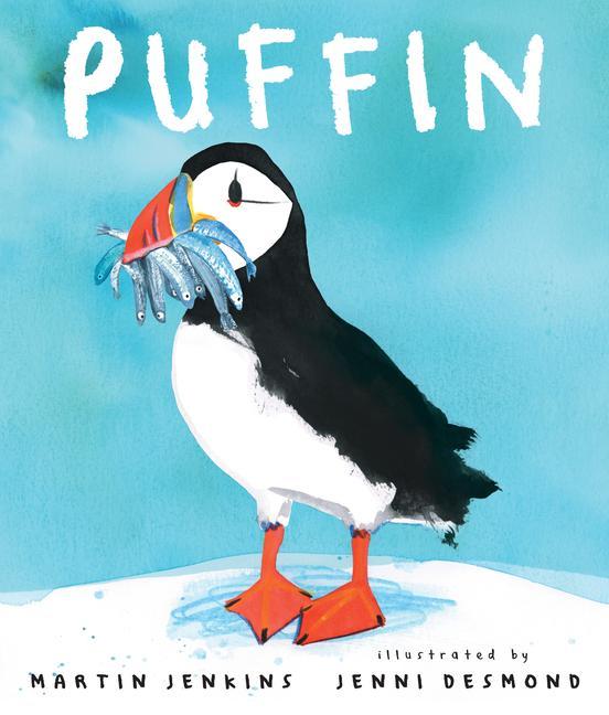 Kniha Puffin Jenni Desmond