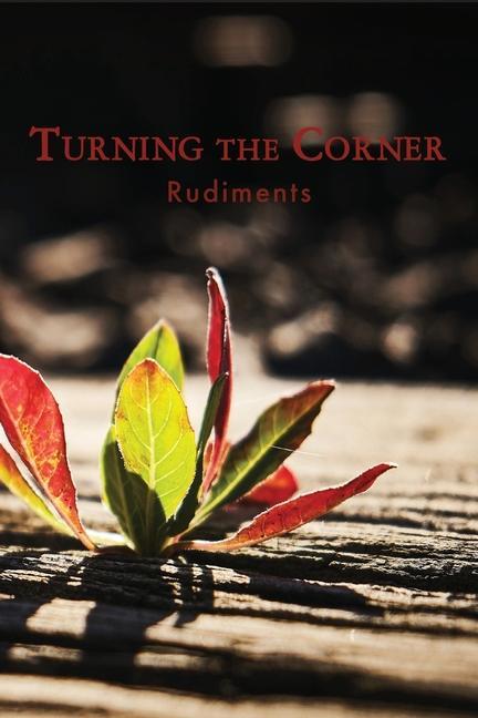 Knjiga Turning the Corner EBER   WEIN PUBLISHI