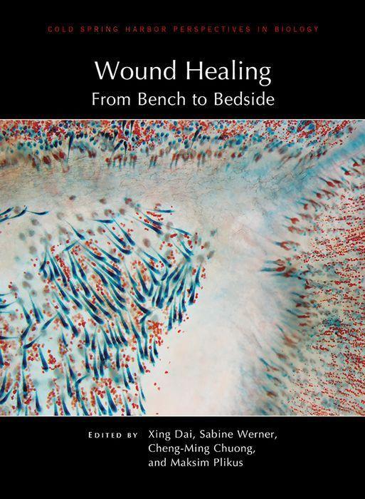 Book WOUND HEALING Xing Dai
