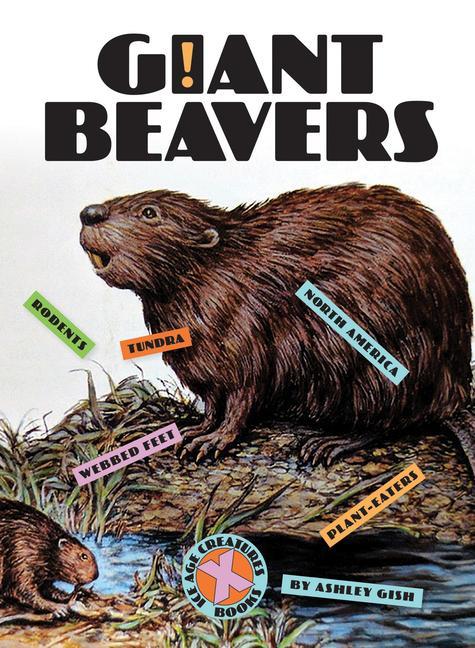 Carte Giant Beavers 