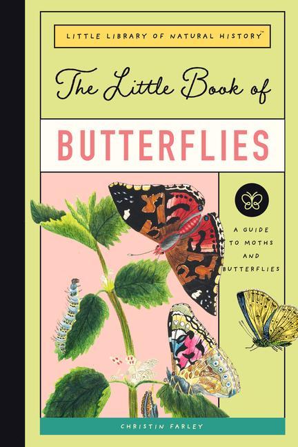 Könyv The Little Book of Butterflies: A Guide to Moths and Butterflies 