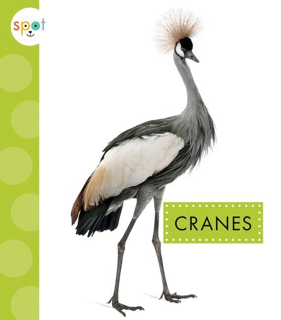 Book Cranes Amstutz