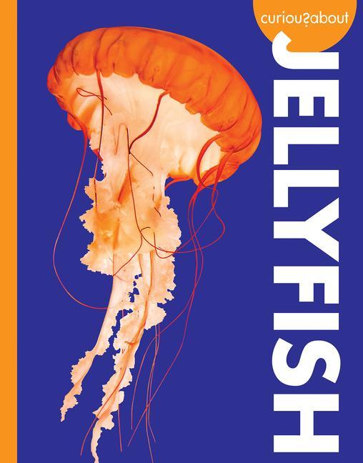 Könyv Curious about Jellyfish 