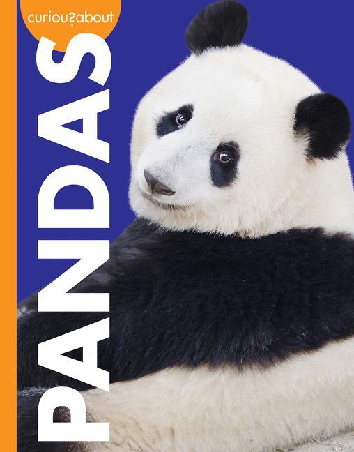 Könyv Curious about Pandas 