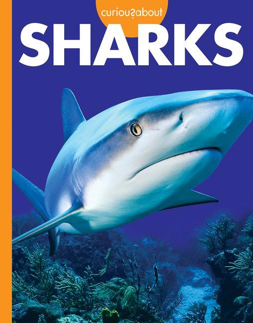 Boek Curious about Sharks Hansen