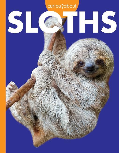 Buch Curious about Sloths Hansen