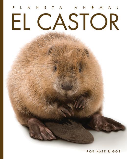 Carte El Castor Riggs