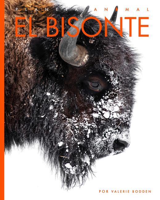 Book El Bisonte Bodden