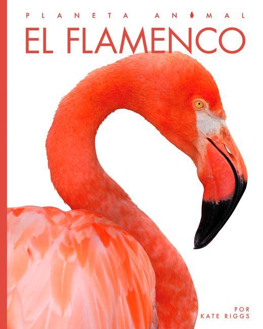 Knjiga El Flamenco Riggs