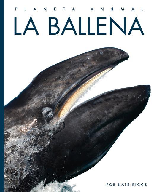 Boek La Ballena Riggs