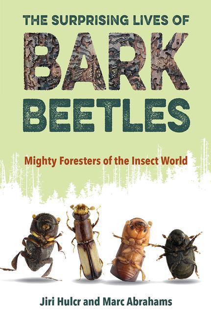 Carte Surprising Lives of Bark Beetles Marc Abrahams