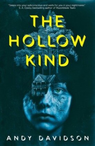 Książka Hollow Kind Andy Davidson