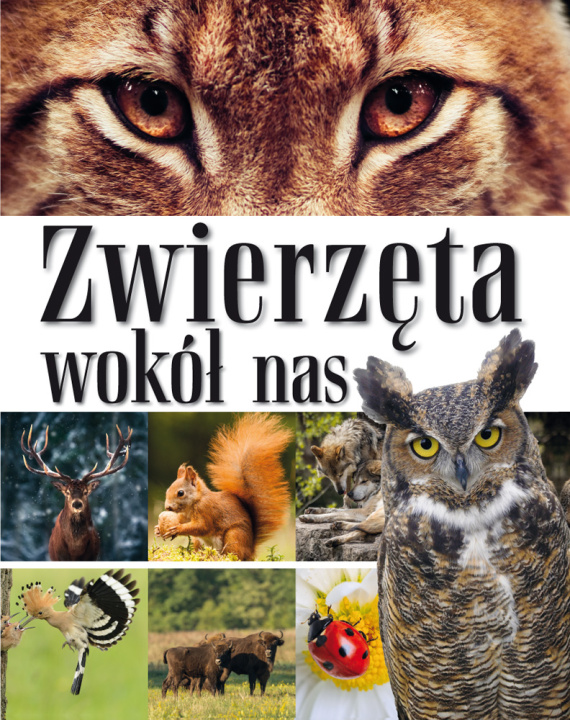 Book Zwierzęta wokół nas. Encyklopedia dla dzieci Opracowanie zbiorowe