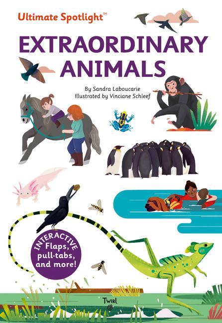 Könyv Ultimate Spotlight: Extraordinary Animals 