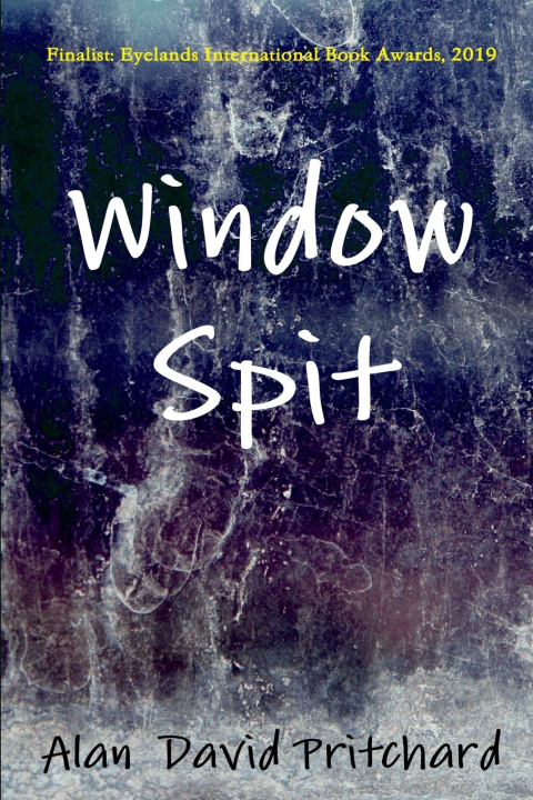 Knjiga Window Spit Pritchard Alan David Pritchard