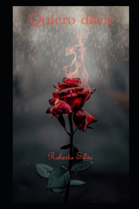 Buch Quiero decir Silva Roberto Silva