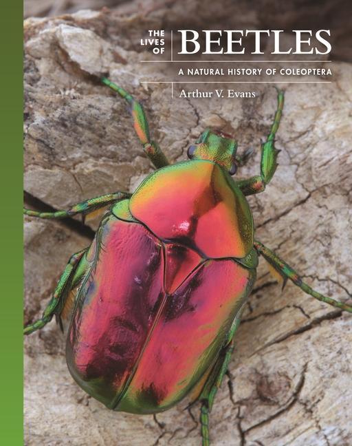 Kniha Lives of Beetles Arthur V. Evans