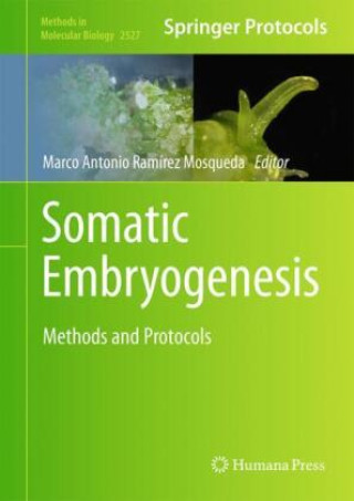 Kniha Somatic Embryogenesis Marco Antonio Ramírez Mosqueda