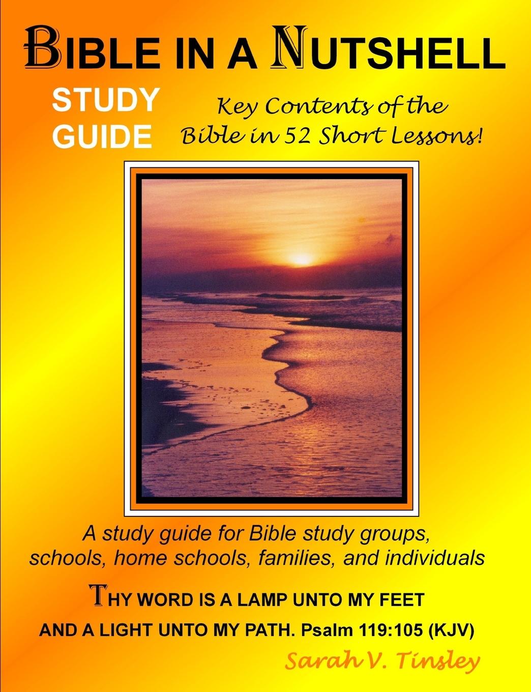 Knjiga Bible in a Nutshell Study Guide Sarah V Tinsley