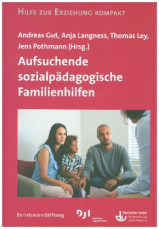 Könyv Aufsuchende sozialpädagogische Familienhilfen Anja Langness