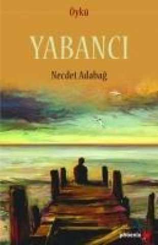 Knjiga Yabanci 