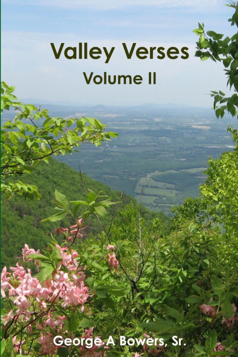 Boek Valley Verses Volume II George Bowers