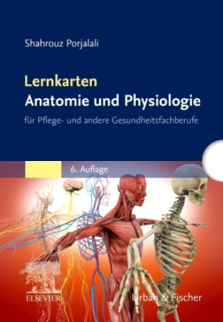 Játék Lernkarten Anatomie und Physiologie 