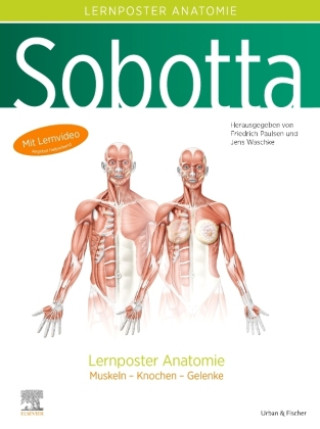 Nyomtatványok Sobotta Lernposter Anatomie 
