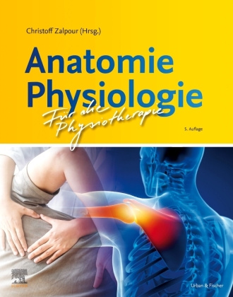 Книга Anatomie Physiologie für die Physiotherapie 