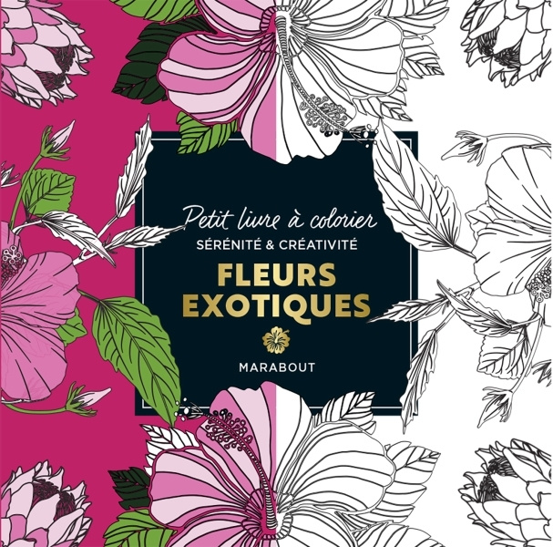 Könyv Petit livre à colorier - Fleurs exotiques 
