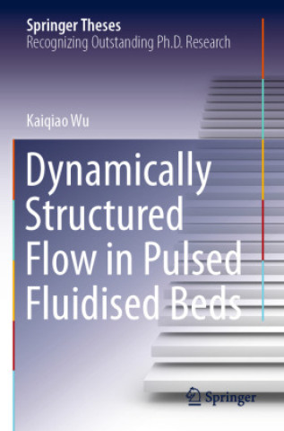 Kniha Dynamically Structured Flow in Pulsed Fluidised Beds Kaiqiao Wu
