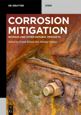 Knjiga Corrosion Mitigation Ashish Kumar