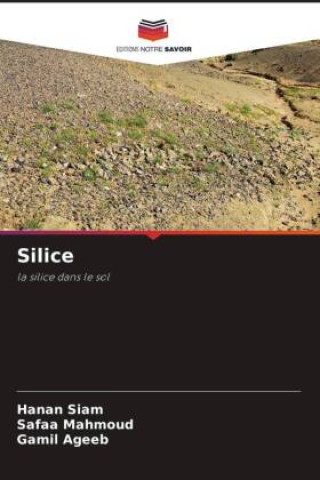 Knjiga Silice Safaa Mahmoud