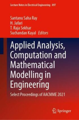 Knjiga Applied Analysis, Computation and Mathematical Modelling in Engineering Santanu Saha Ray