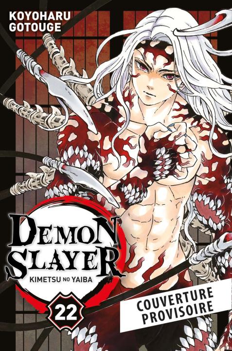 Könyv Demon Slayer T22 Koyoharu Gotouge