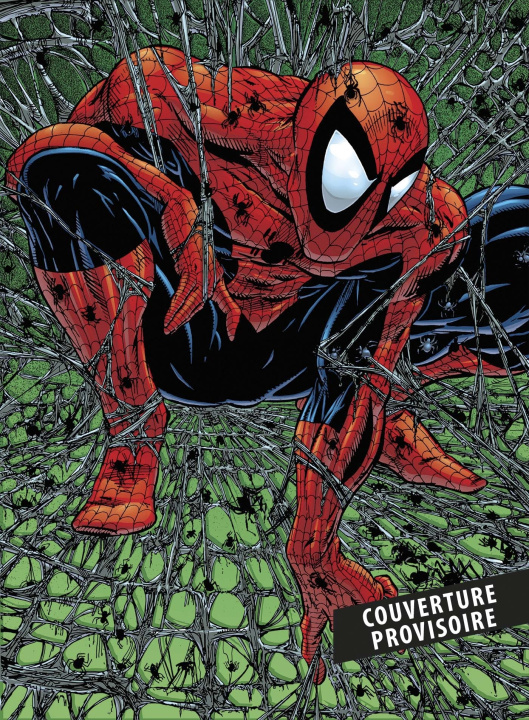 Könyv Spider-Man : Tourments Todd McFarlane