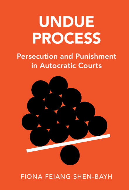 Knjiga Undue Process Fiona Feiang Shen-Bayh