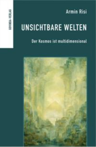 Könyv Unsichtbare Welten Armin Risi