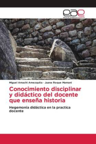 Könyv Conocimiento disciplinar y didáctico del docente que ense?a historia Juana Roque Mamani