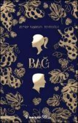Knjiga Bag 