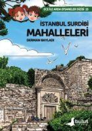 Knjiga Istanbul Surdibi Mahalleleri 