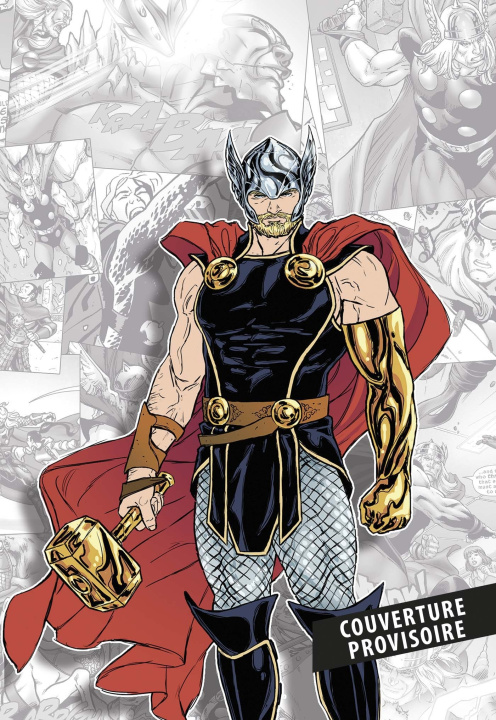 Książka Marvel-Verse : Thor 