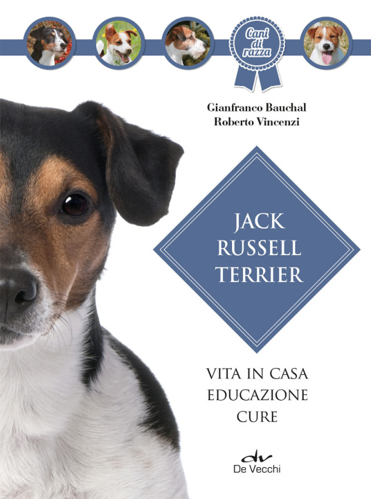 Kniha Jack Russel terrier. Vita in casa, educazione, cure Gianfranco Bauchal