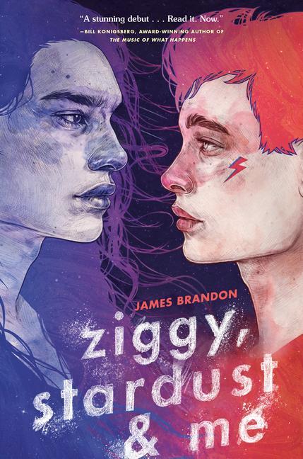 Knjiga Ziggy, Stardust and Me 