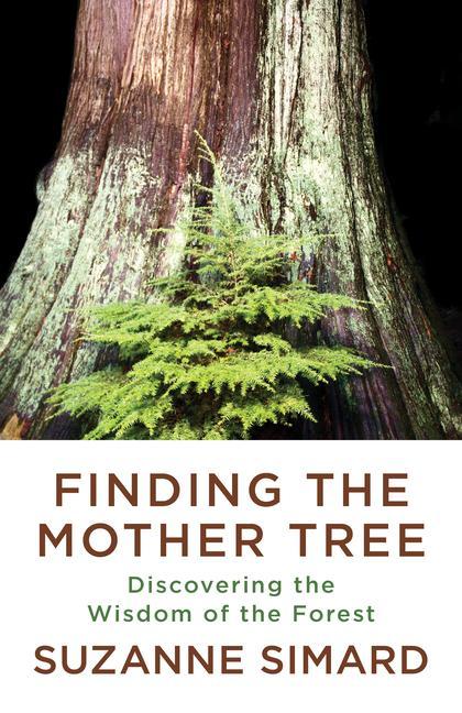 Книга Finding the Mother Tree 