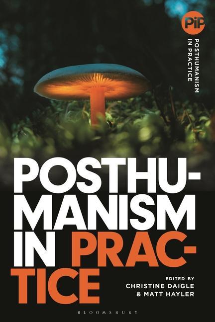 Livre Posthumanism in Practice Matthew Hayler