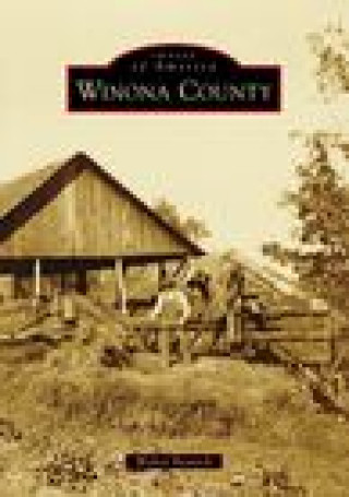 Knjiga Winona County Bennick